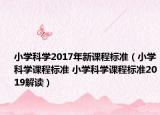 小学科学2017年新课程标准（小学科学课程标准 小学科学课程标准2019解读）