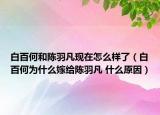 白百何和陈羽凡现在怎么样了（白百何为什么嫁给陈羽凡 什么原因）