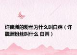 许魏洲的粉丝为什么叫白粥（许魏洲粉丝叫什么 白粥）
