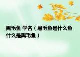 黑毛鱼 学名（黑毛鱼是什么鱼 什么是黑毛鱼）