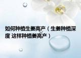 如何种植生姜高产（生姜种植深度 这样种植姜高产）