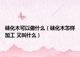 硅化木可以做什么（硅化木怎样加工 又叫什么）