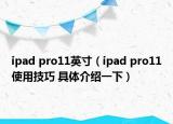 ipad pro11英寸（ipad pro11使用技巧 具体介绍一下）