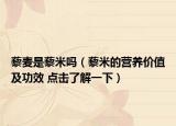 藜麦是藜米吗（藜米的营养价值及功效 点击了解一下）