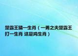 楚霸王猜一生肖（一勇之夫楚霸王打一生肖 这是鸡生肖）