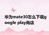 华为mate30怎么下载google play商店