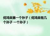 何鸿燊第一个孙子（何鸿燊有几个孙子 一个孙子）