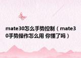 mate30怎么手势控制（mate30手势操作怎么用 你懂了吗）