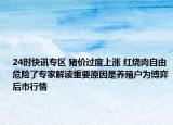 24时快讯专区 猪价过度上涨 红烧肉自由危险了专家解读重要原因是养殖户为博弈后市行情