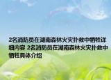 2名消防员在湖南森林火灾扑救中牺牲详细内容 2名消防员在湖南森林火灾扑救中牺牲具体介绍