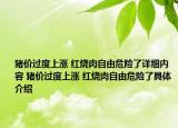 猪价过度上涨 红烧肉自由危险了详细内容 猪价过度上涨 红烧肉自由危险了具体介绍