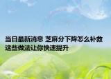 当日最新消息 芝麻分下降怎么补救 这些做法让你快速提升