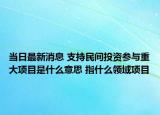当日最新消息 支持民间投资参与重大项目是什么意思 指什么领域项目