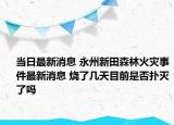 当日最新消息 永州新田森林火灾事件最新消息 烧了几天目前是否扑灭了吗