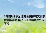 24时快讯专区 永州新田森林火灾事件最新消息 烧了几天目前是否扑灭了吗