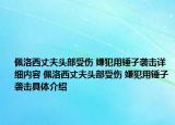 佩洛西丈夫头部受伤 嫌犯用锤子袭击详细内容 佩洛西丈夫头部受伤 嫌犯用锤子袭击具体介绍