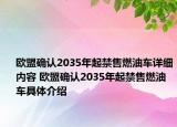 欧盟确认2035年起禁售燃油车详细内容 欧盟确认2035年起禁售燃油车具体介绍