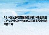 3名中国公民在韩国踩踏事故中遇难详细内容 3名中国公民在韩国踩踏事故中遇难具体介绍