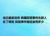 当日最新消息 韩国踩踏事件失踪人去了哪里 踩踏事件赔偿金有多少