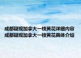 成都疑现加拿大一枝黄花详细内容 成都疑现加拿大一枝黄花具体介绍