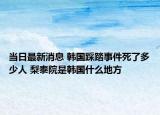 当日最新消息 韩国踩踏事件死了多少人 梨泰院是韩国什么地方