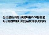 当日最新消息 张庭转移600亿真的吗 张庭林瑞阳夫妇会受刑事处罚吗