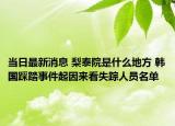当日最新消息 梨泰院是什么地方 韩国踩踏事件起因来看失踪人员名单