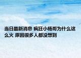 当日最新消息 疯狂小杨哥为什么这么火 原因很多人都没想到