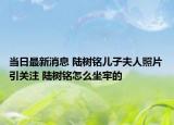 当日最新消息 陆树铭儿子夫人照片引关注 陆树铭怎么坐牢的