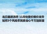 当日最新消息 11月份猪价粮价走势如何3个风险农民要当心千万别踩雷