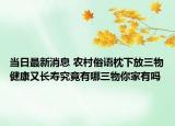 当日最新消息 农村俗语枕下放三物健康又长寿究竟有哪三物你家有吗