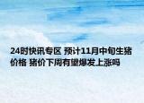 24时快讯专区 预计11月中旬生猪价格 猪价下周有望爆发上涨吗