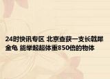 24时快讯专区 北京查获一支长戟犀金龟 能举起超体重850倍的物体