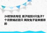 24时快讯专区 男子捡到3只兔子7个月繁殖近百只 网友兔子是来报恩的