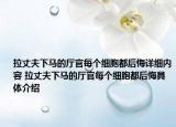拉丈夫下马的厅官每个细胞都后悔详细内容 拉丈夫下马的厅官每个细胞都后悔具体介绍