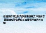 德国政府警告默克尔应谨慎开支详细内容 德国政府警告默克尔应谨慎开支具体介绍