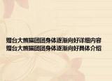 赠台大熊猫团团身体逐渐向好详细内容 赠台大熊猫团团身体逐渐向好具体介绍