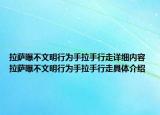 拉萨曝不文明行为手拉手行走详细内容 拉萨曝不文明行为手拉手行走具体介绍