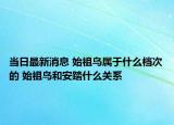 当日最新消息 始祖鸟属于什么档次的 始祖鸟和安踏什么关系
