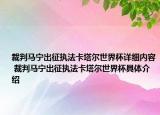 裁判马宁出征执法卡塔尔世界杯详细内容 裁判马宁出征执法卡塔尔世界杯具体介绍