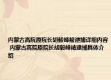 内蒙古高院原院长胡毅峰被逮捕详细内容 内蒙古高院原院长胡毅峰被逮捕具体介绍