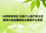 24时快讯专区 杜鹃个人资产多少亿 鹏润大厦是国美的么两者什么关系