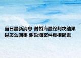 当日最新消息 谢哲海最终判决结果是怎么回事 谢哲海案件真相揭露