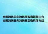 全国消防日向消防员致敬详细内容 全国消防日向消防员致敬具体介绍
