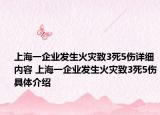 上海一企业发生火灾致3死5伤详细内容 上海一企业发生火灾致3死5伤具体介绍