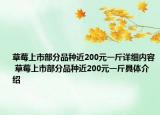 草莓上市部分品种近200元一斤详细内容 草莓上市部分品种近200元一斤具体介绍