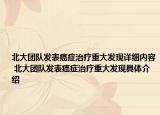 北大团队发表癌症治疗重大发现详细内容 北大团队发表癌症治疗重大发现具体介绍