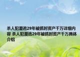 杀人犯潜逃29年被抓时资产千万详细内容 杀人犯潜逃29年被抓时资产千万具体介绍