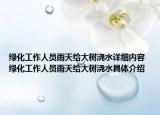 绿化工作人员雨天给大树浇水详细内容 绿化工作人员雨天给大树浇水具体介绍