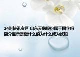 24时快讯专区 山东天鹅股份属于国企吗简介显示是做什么的为什么成为妖股